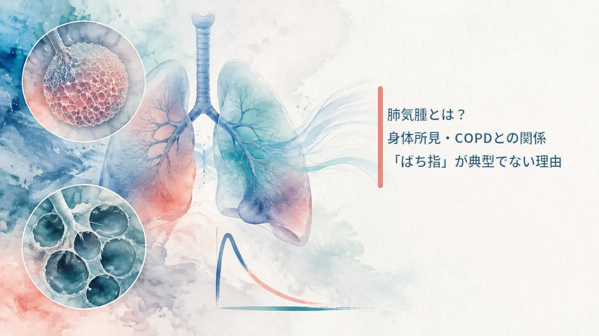 肺気腫とCOPDの肺胞変化を表す画像