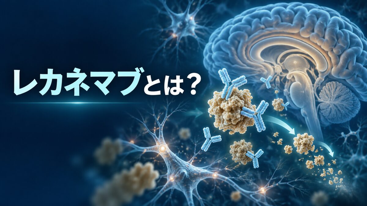 レカネマブとは？―脳と抗体を描いたタイトル入りアイキャッチ画像