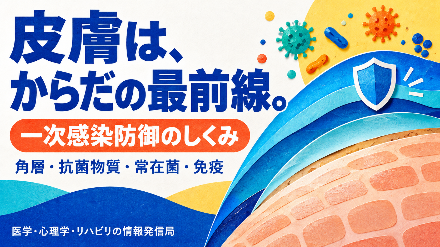 青とオレンジの切り絵風で皮膚の防御を表した概念イラスト。皮膚は、からだの最前線。一次感染防御のしくみ。